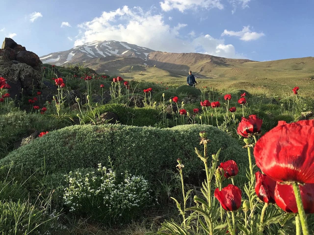 تصویر 8 از قله دماوند