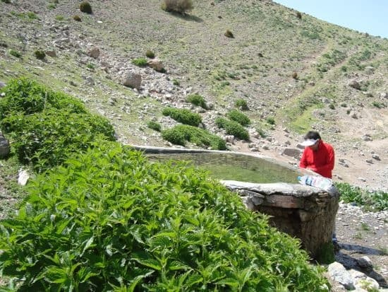 تصویر 3 از قله قله کماس
